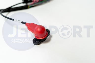 JEM-Sport EcoBoost Swap Wiring Harness - Chassis/Patch