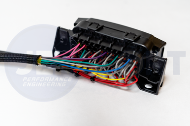 JEM-Sport EcoBoost Swap Wiring Harness - Chassis/Patch