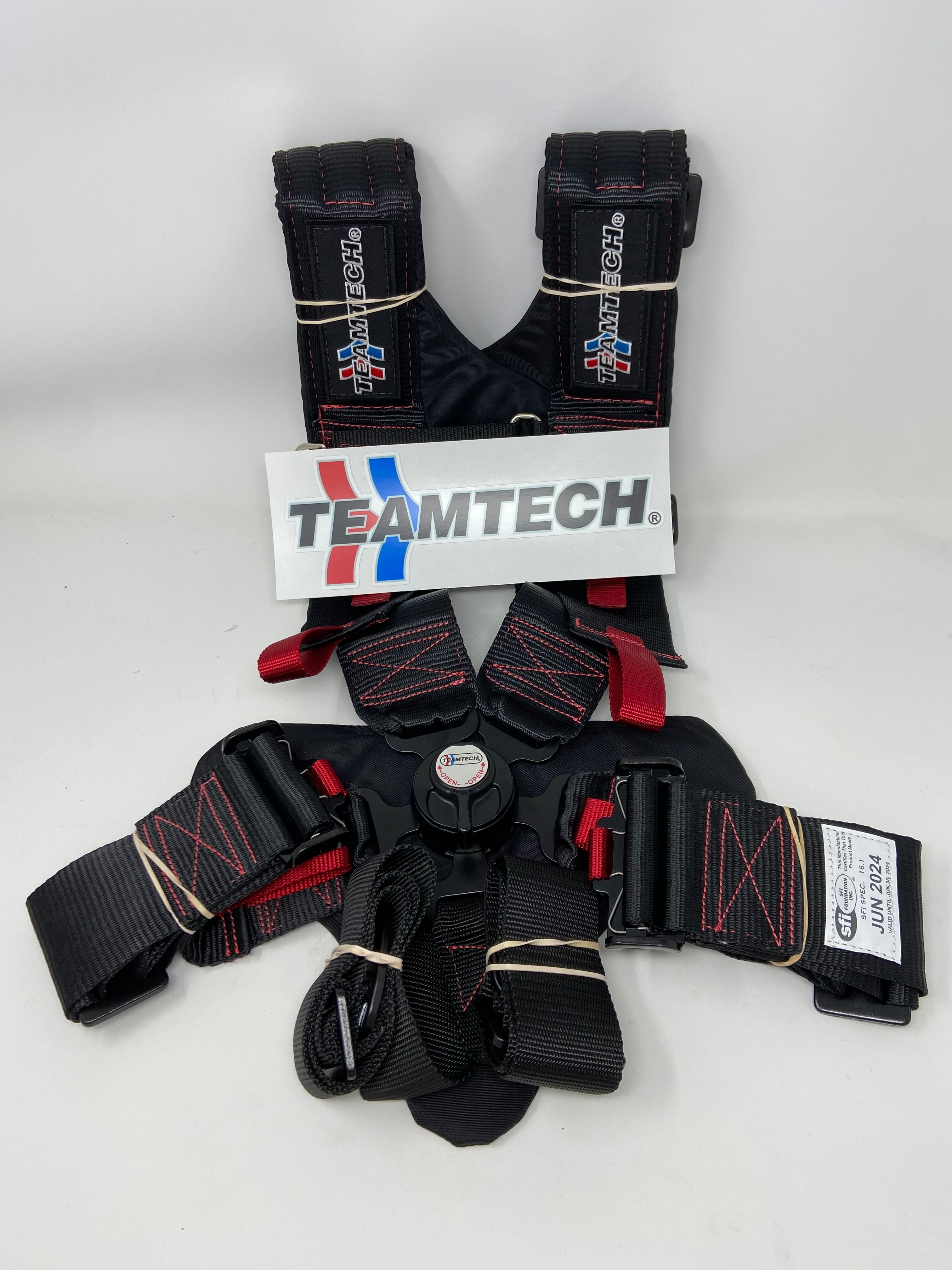 Teamtech Ram-Pac 6 point Harness