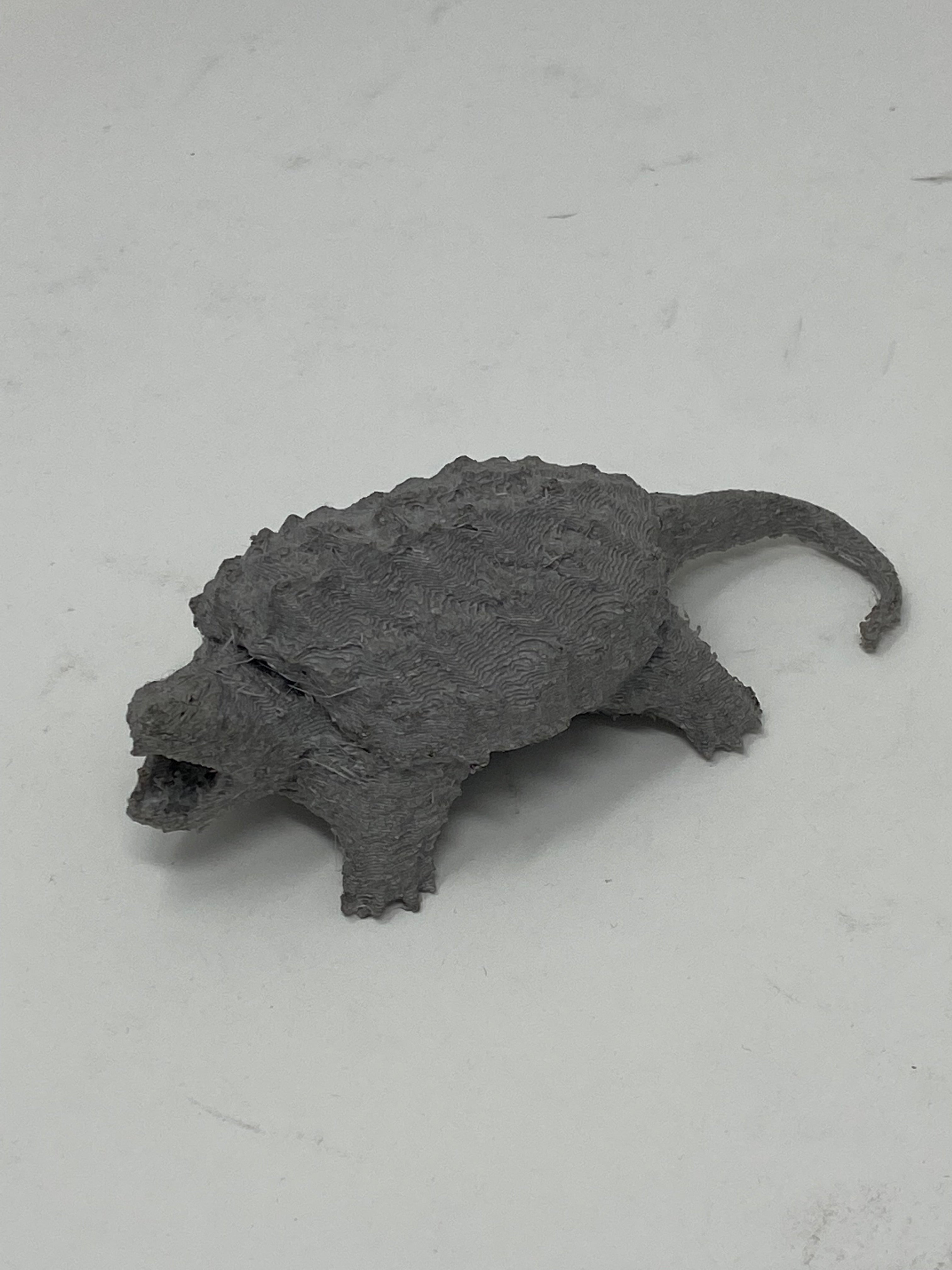 3D Printed Snapping Turtle