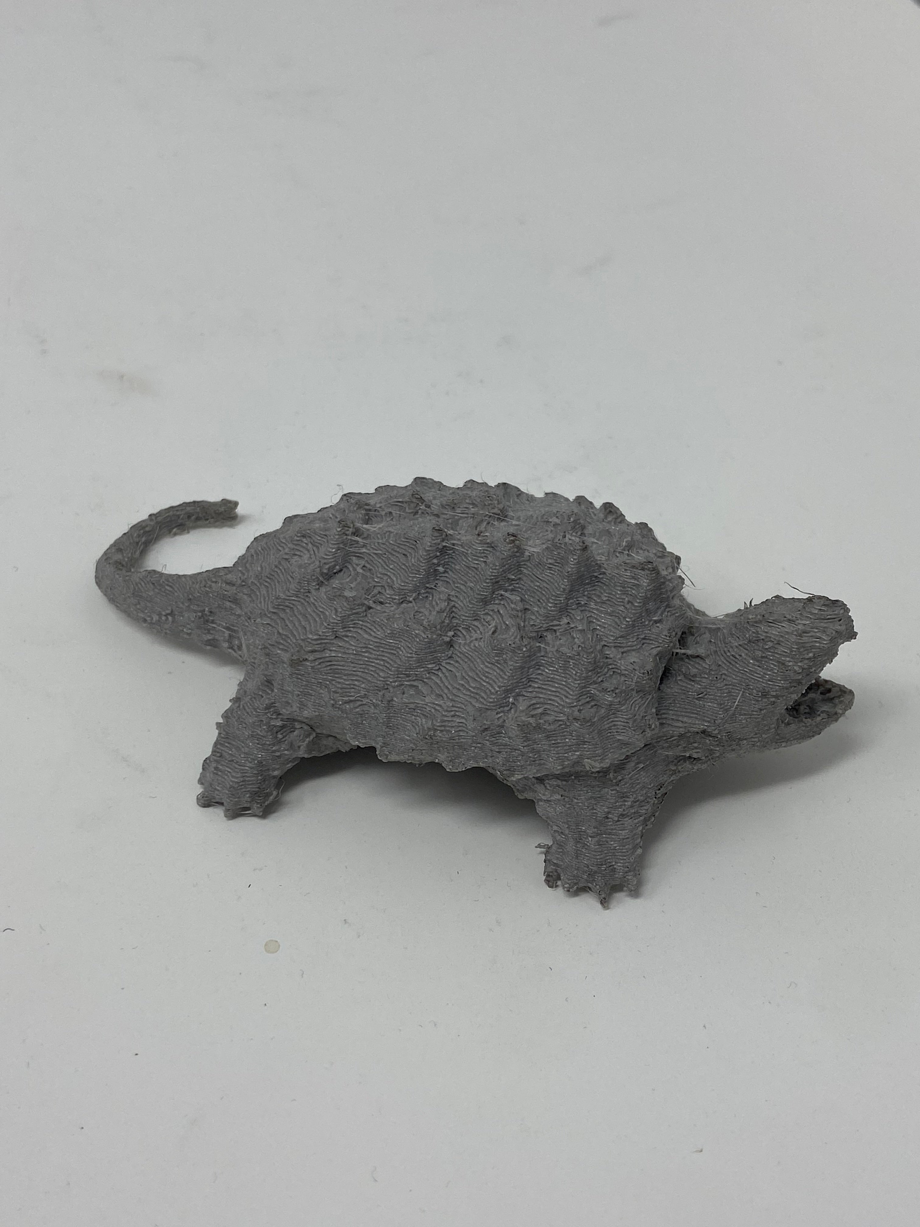 3D Printed Snapping Turtle