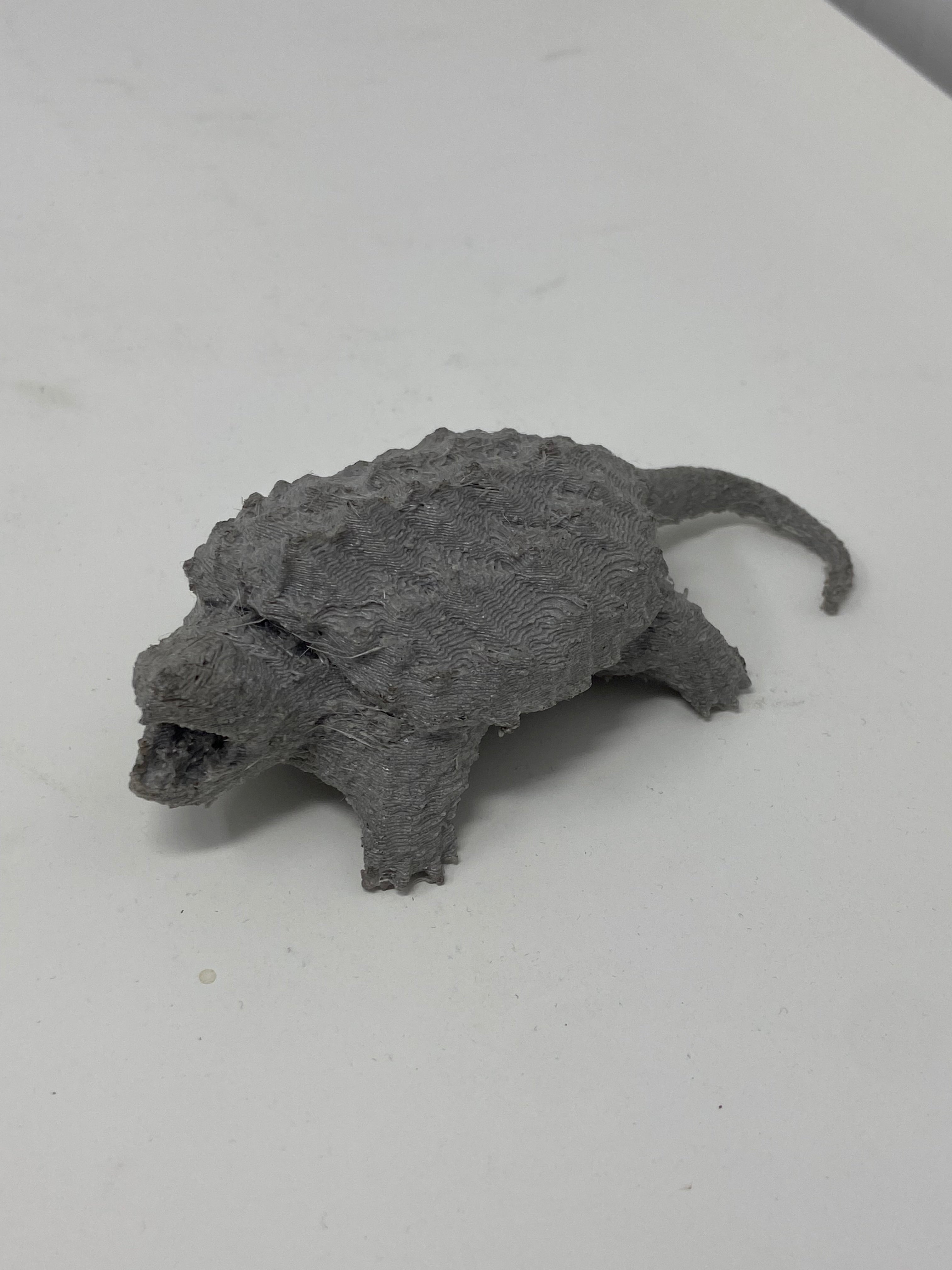 3D Printed Snapping Turtle
