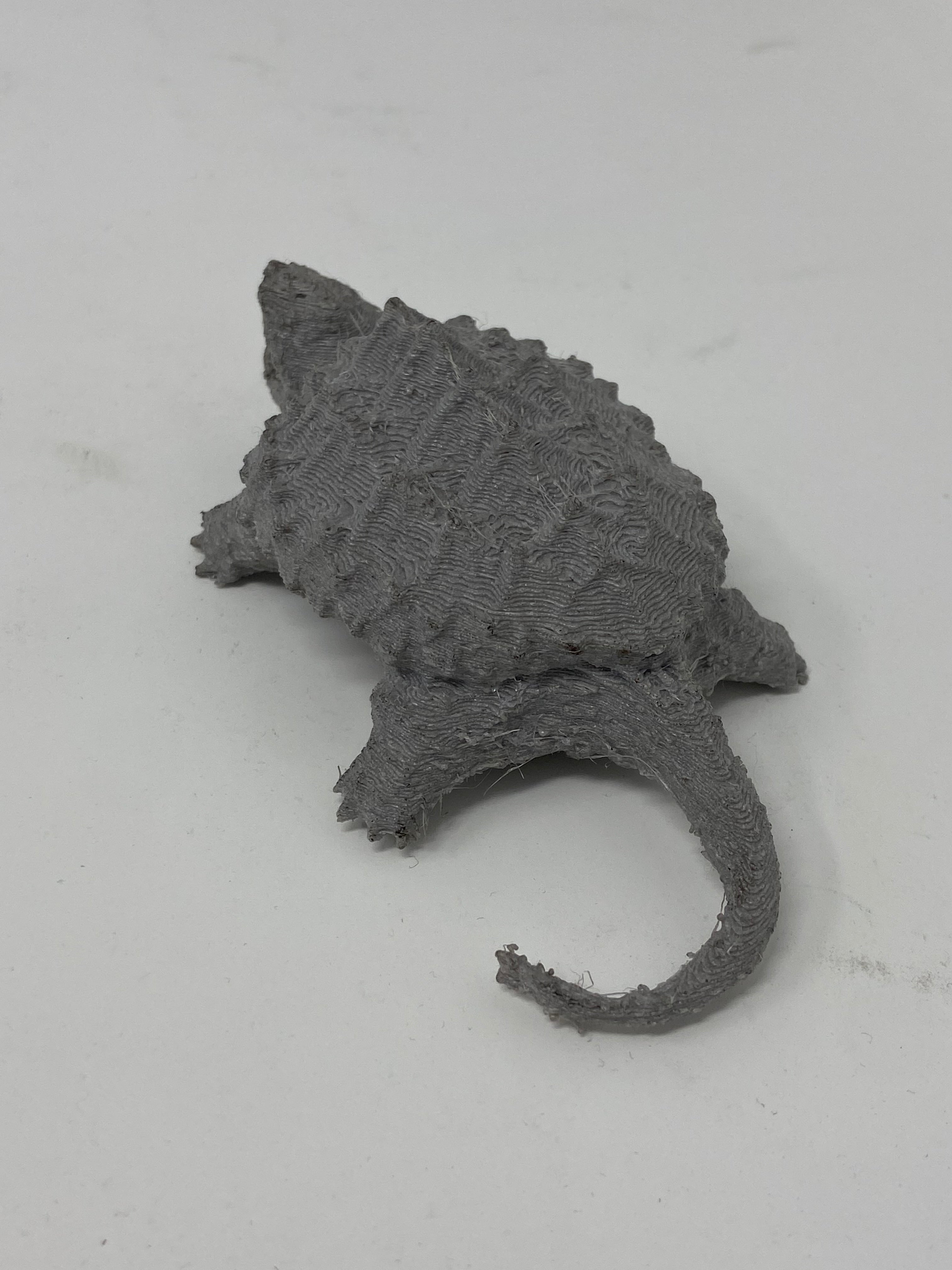 3D Printed Snapping Turtle